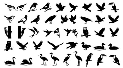 Obraz premium Birds silhouettes collection featuring flying eagle sparrow owl hummingbird toucan swan crane and wild avian species vector illustration isolated on whitev