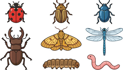 Vector set of various insects and bugs including ladybug beetle moth dragonfly and worm illustration © MstShapla