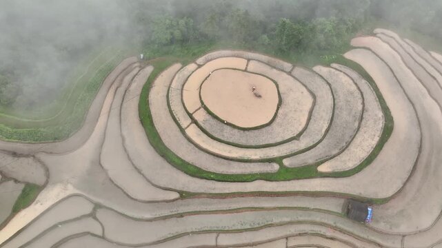 Aerial View of Hoang Su Phi Terraced Rice Fields During Water Season, Tuyen Quang, Vietnam