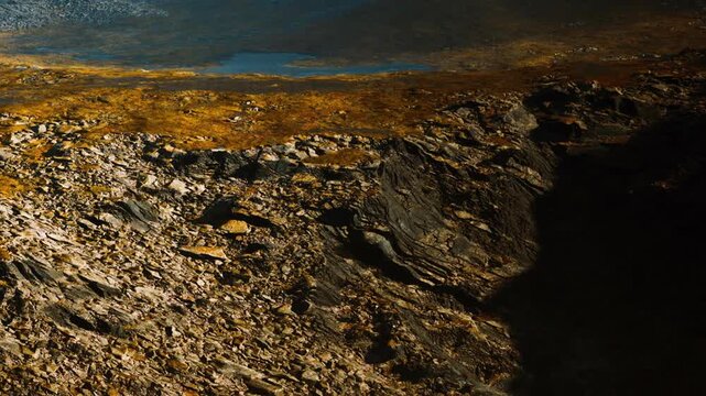 Rocks and dirt cover the ground in a wild area. Various shapes and sizes of rocks are seen with patches of grass. A distant body of water is visible in the background under clear sky.