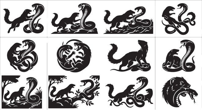 snake vs mongoose.