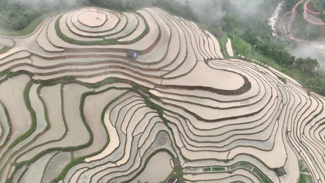 Aerial View of Hoang Su Phi Terraced Rice Fields During Water Season, Tuyen Quang, Vietnam