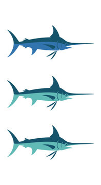 Three Blue Marlin Fish Illustration Set, Marine Life, Ocean Predators, Fishing Icons