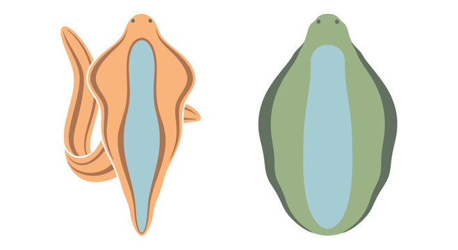 Flatworm Icon Set Vector Illustration