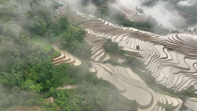 Aerial View of Hoang Su Phi Terraced Rice Fields During Water Season, Tuyen Quang, Vietnam