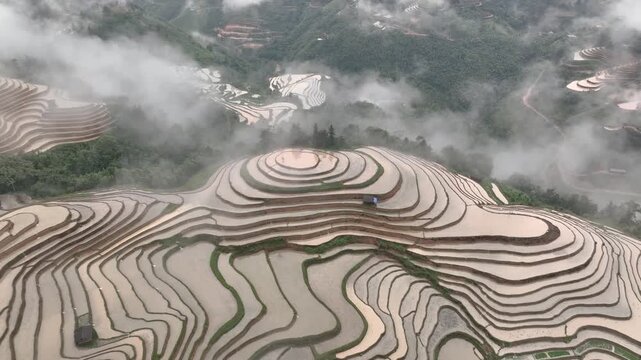 Aerial View of Hoang Su Phi Terraced Rice Fields During Water Season, Tuyen Quang, Vietnam