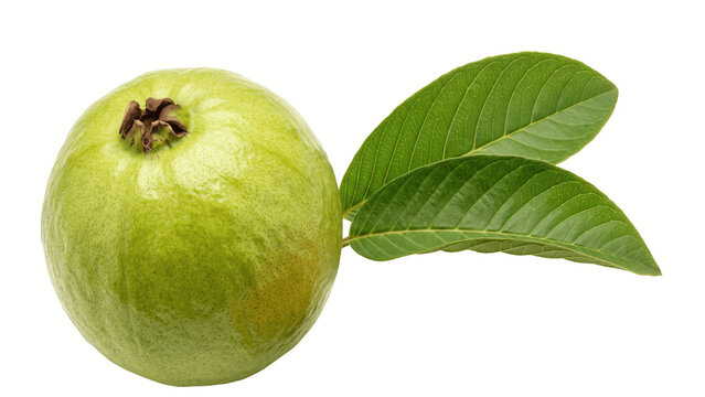 Fresh whole guava fruit with leaves isolated PNG on transparent background