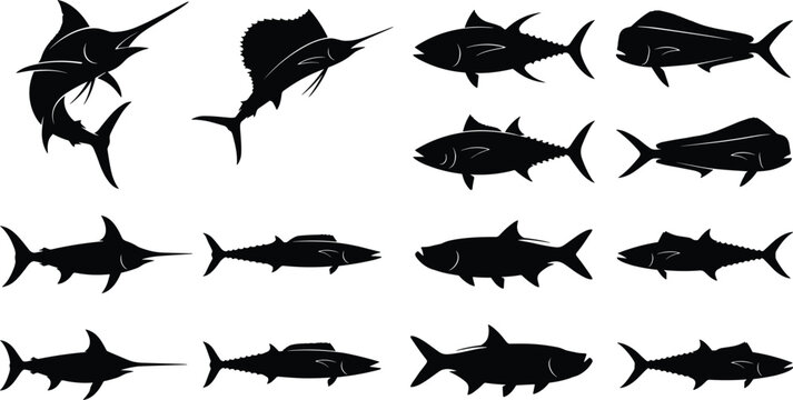 Collection of big game saltwater fish silhouettes including marlin sailfish tuna and mahi mahi isolated on white