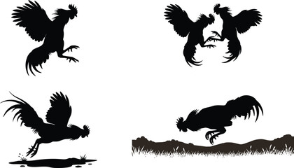 Cockfighting rooster silhouette vector set featuring fighting gamefowl cockerels in aggressive dynamic combat action poses illustration, © MdBarat