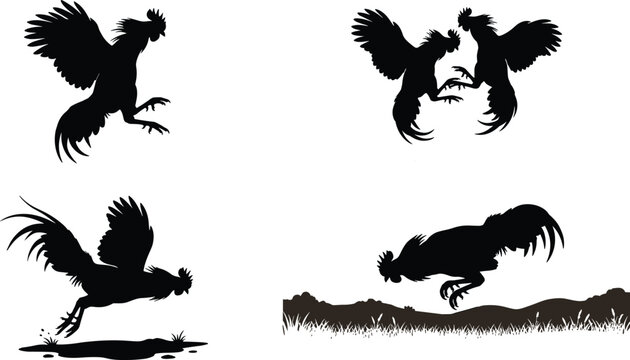 Cockfighting rooster silhouette vector set featuring fighting gamefowl cockerels in aggressive dynamic combat action poses illustration,