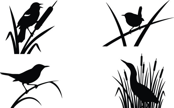 Marsh bird silhouette vector set featuring red-winged blackbird wren bittern perched in cattail reeds wetlands nature elements,