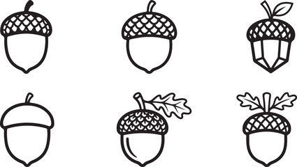 Simple acorn illustrations with leaves and caps in black and white line art style Vector © Nur