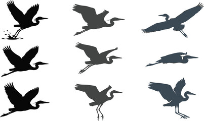 Fototapeta premium Heron silhouette vector set featuring flying wading egret crane splash wetlands coastal wildlife nature animal design elements,
