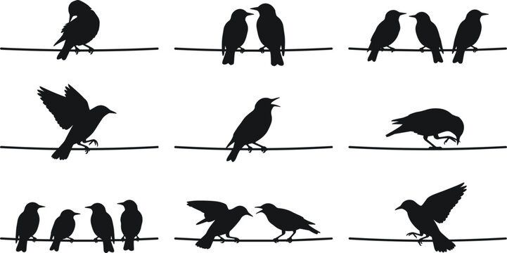 Birds on a wire silhouette vector set featuring perched crows sparrows landing flying wildlife nature design elements,