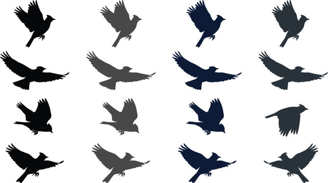 Flying cardinal bird silhouette vector set featuring soaring songbirds wings spread wildlife nature animal graphic elements collection,