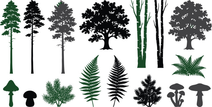 Forest tree and plant silhouette vector set featuring pine oak fern mushroom and birch trunk nature elements,