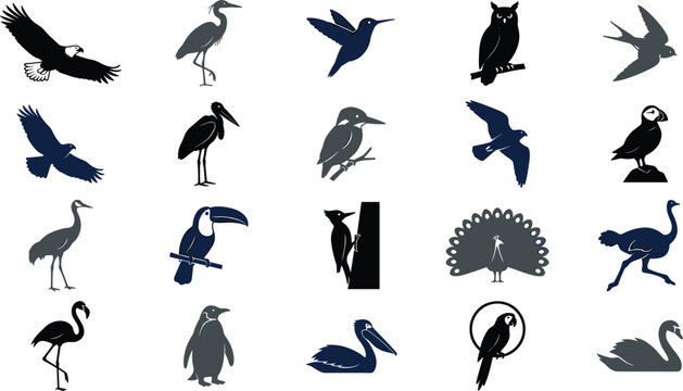 Mega bird silhouette vector set featuring eagle toucan peacock flamingo penguin parrot owl wildlife nature design elements collection,