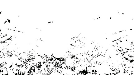Fototapeta premium Abstract Black and White Organic Shapes Background