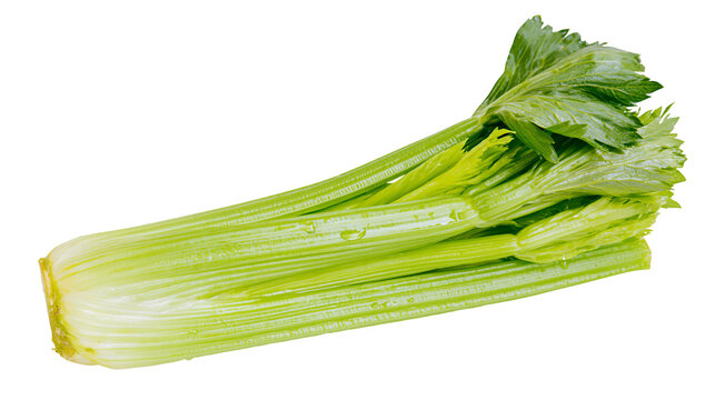 Fresh green celery stalks with leaves and water droplets