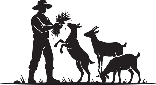 Silhouette of farmer feeding goats with hay