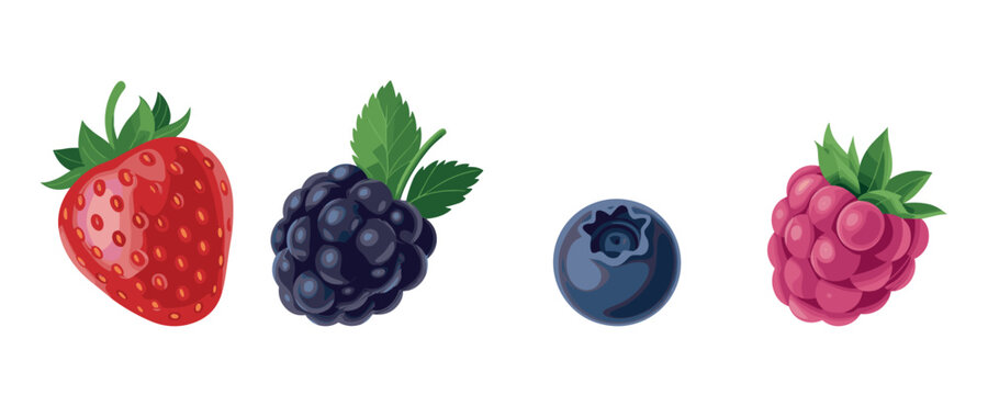 Vibrant collection of four fresh forest berries illustrated with soft studio lighting isolated on a white background.