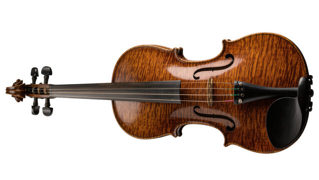 Detailed tiger-striped violin with ebony fingerboard, isolated on transparent background