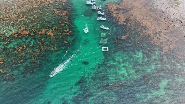 Aerial boats over sargassum reefs, Hon Kho, Quy Nhon, Vietnam