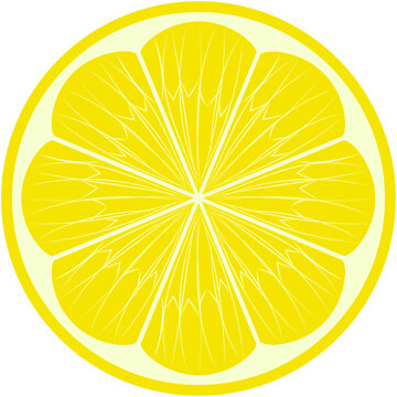 Isolated yellow lemon slice vector illustration