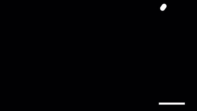 Retro Arcade Ball Bounce Animation with Transparent Background, Minimal Game Motion Graphic Loop 4K