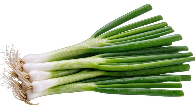 Fresh green onions with white bulbs and roots