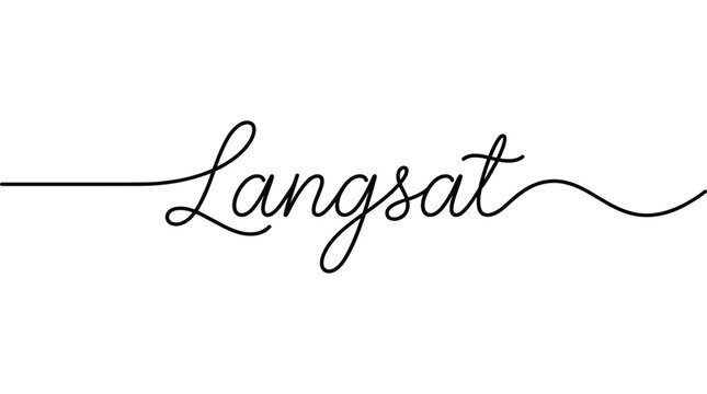 Single continuous line drawing of the word Langsat in elegant script typography for healthy fruit branding, food blog, or tropical nutrition.