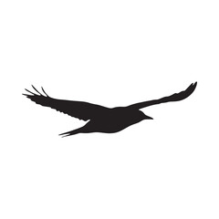 Obraz premium Bird Silhouette Against White Background A Minimalist Graphic