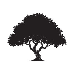 Fototapeta premium Oak tree silhouette against a white background detailed branching structure