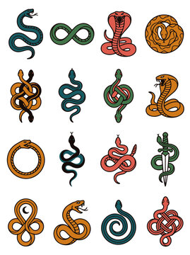Snake Illustrations Featuring Various Mythological and Symbolic Designs Perfect for Graphic Projects