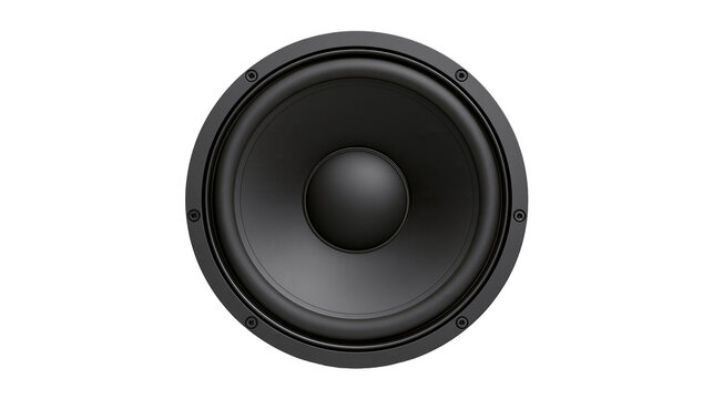 Black round speaker cone with central dome and metal screws