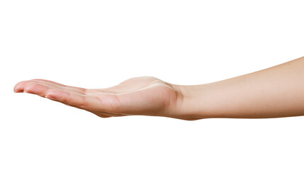Fototapeta premium Open palm hand extended forward, offering or receiving gesture