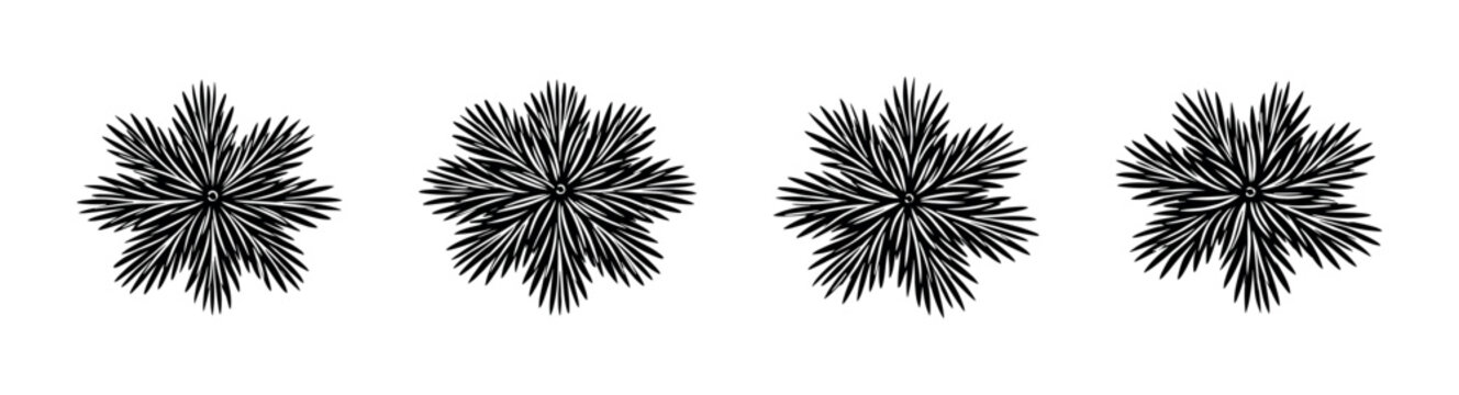 Top view illustrations of palm tree fronds in a repeating pattern
