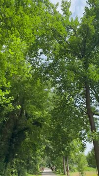 Biking along multi use Swamp Rabbit Trail on the way from Greenville to Travelers Rest in South Carolina