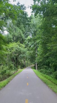 Biking through a heavily wooded section along the Swamp Rabbit Trail on the way from Greenville to Travelers Rest in South Carolina
