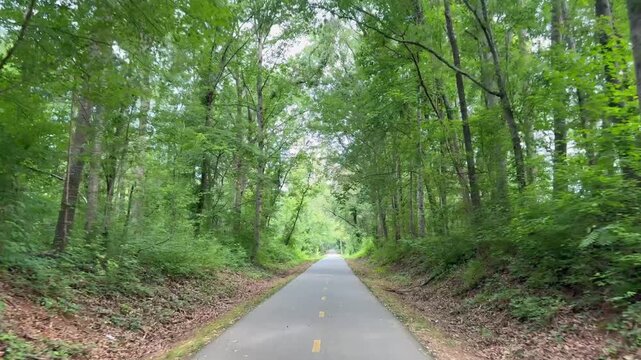 Biking through a heavily wooded section along the Swamp Rabbit Trail on the way from Greenville to Travelers Rest in South Carolina