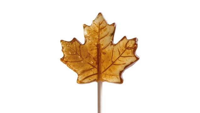 Maple leaf shaped amber hard candy lollipop on stick
