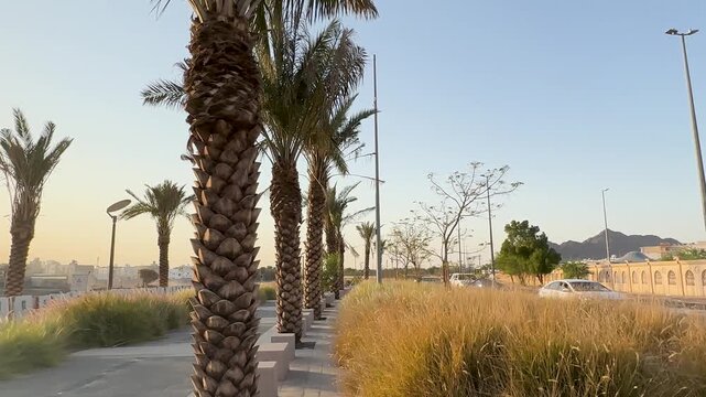 Walking past a Wadi Al Aqeeq sign, palm trees, and along a scenic pathway towards mountains.