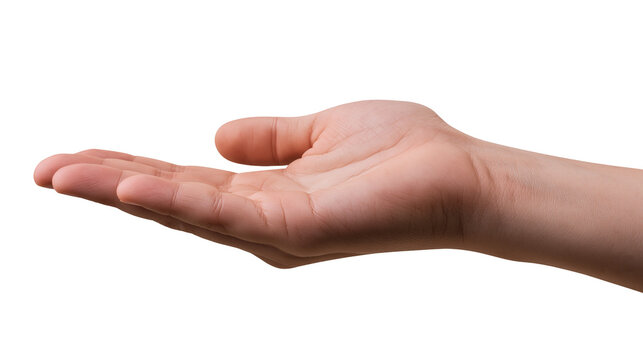 Open palm outstretched cupped upwards, receiving gesture