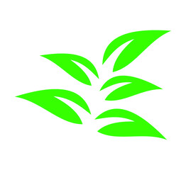 Fototapeta premium Simple green leaf vector icon