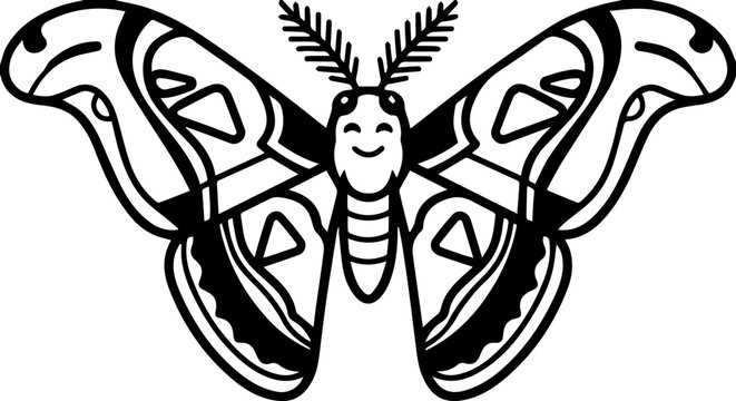 atlas moth