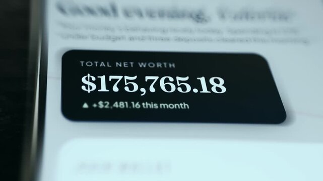 Total Net Worth displayed value with a monthly change increase