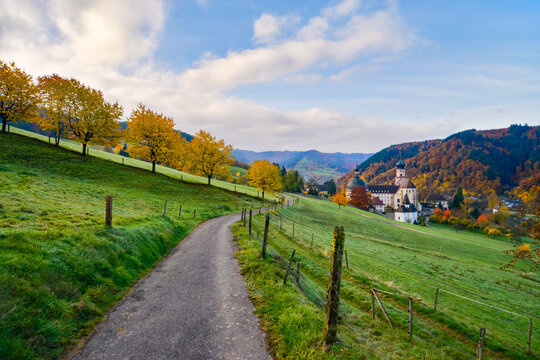 Panorama in the Muenster Valley on a sunny autumn morning with the historic monastery &ldquo;Kloster St. Trudpert&rdquo; in the early morning mist. Vast idyllic landscape in the Black Forest (Germany).