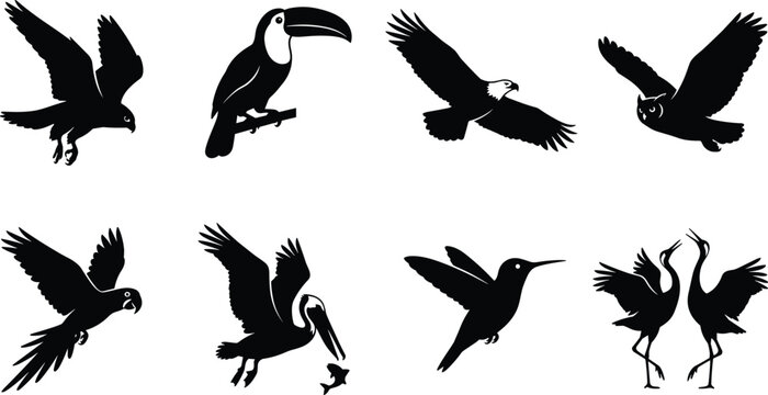 Black and white wild bird silhouettes set featuring flying eagles parrots toucans hummingbirds and cranes
