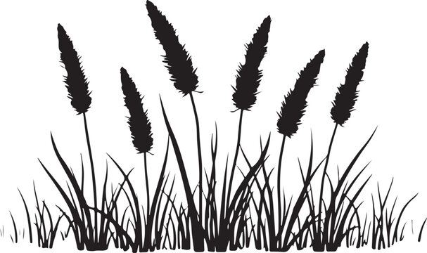 Black cattail reeds, grass silhouette, vector illustration, landscape elements