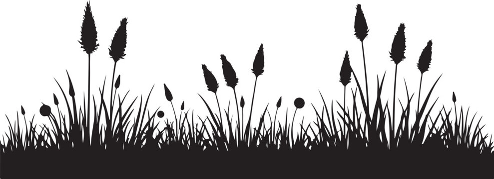 Black silhouette grass, cattail reeds, landscape border, vector illustration